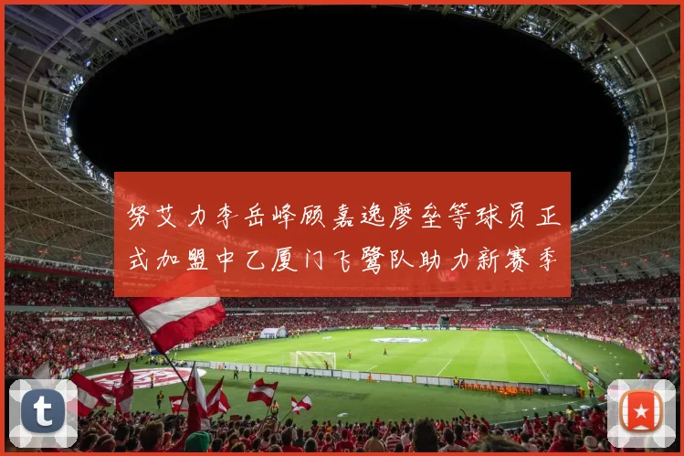 努艾力李岳峰顾嘉逸廖垒等球员正式加盟中乙厦门飞鹭队助力新赛季