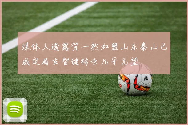 媒体人透露贺一然加盟山东泰山已成定局玄智健转会几乎无望