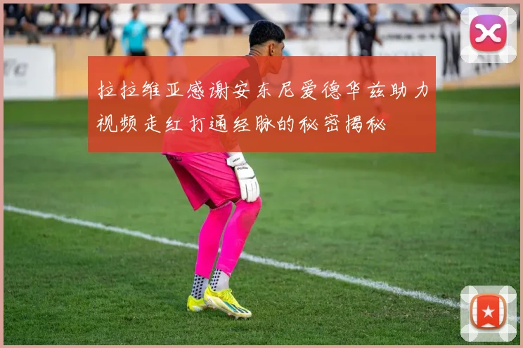 拉拉维亚感谢安东尼爱德华兹助力视频走红打通经脉的秘密揭秘