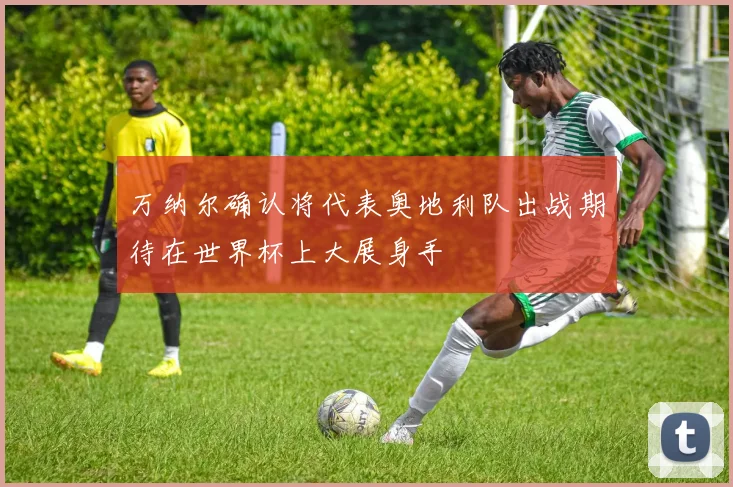 万纳尔确认将代表奥地利队出战期待在世界杯上大展身手